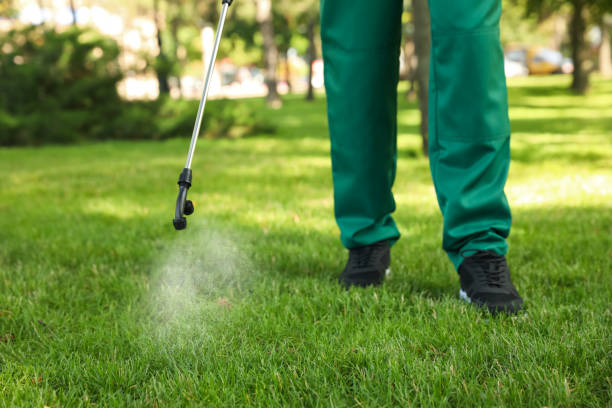Best Pest Prevention Services  in Holly Springs, MS