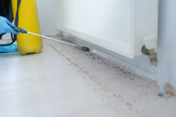 Holly Springs, MS Pest Control Company